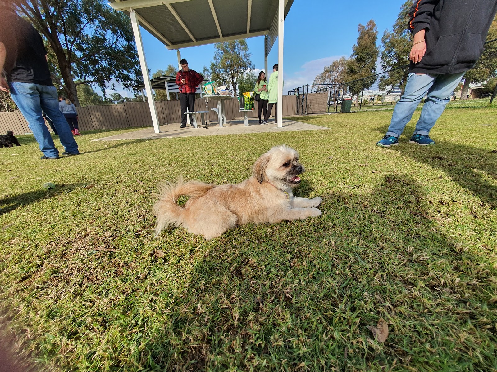 Baldivis Fenced Dog Park