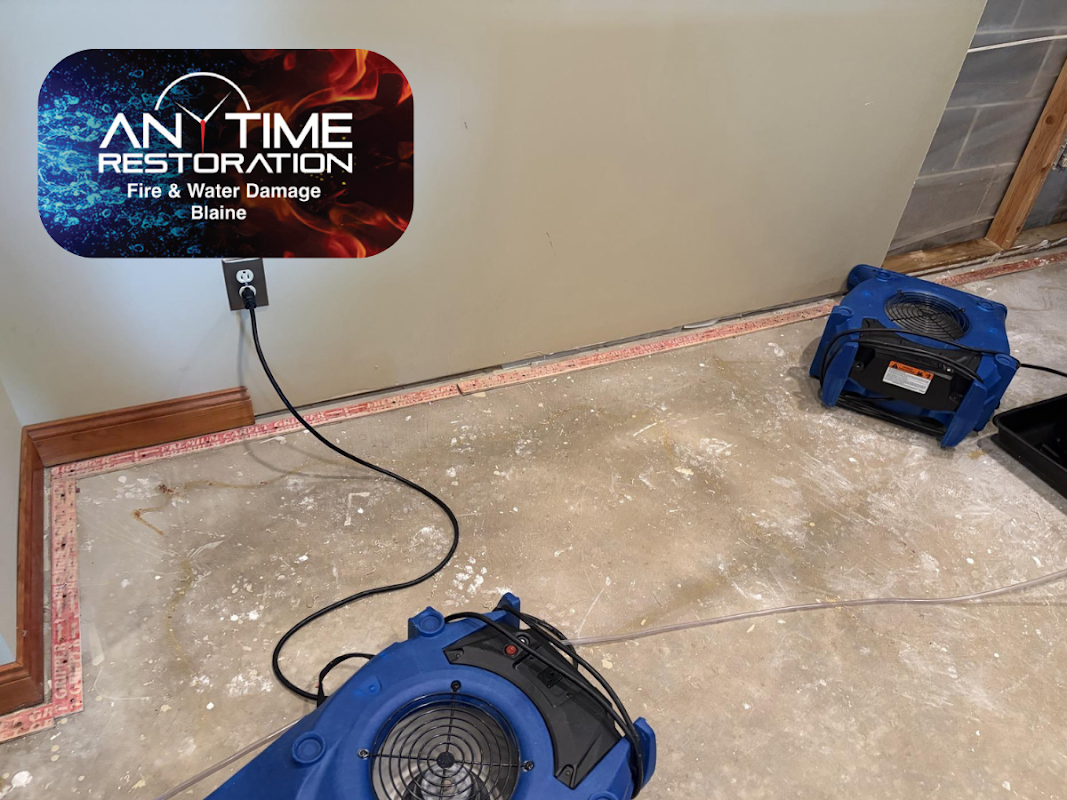 Anytime Restoration Fire & Water Damage Blaine — photo