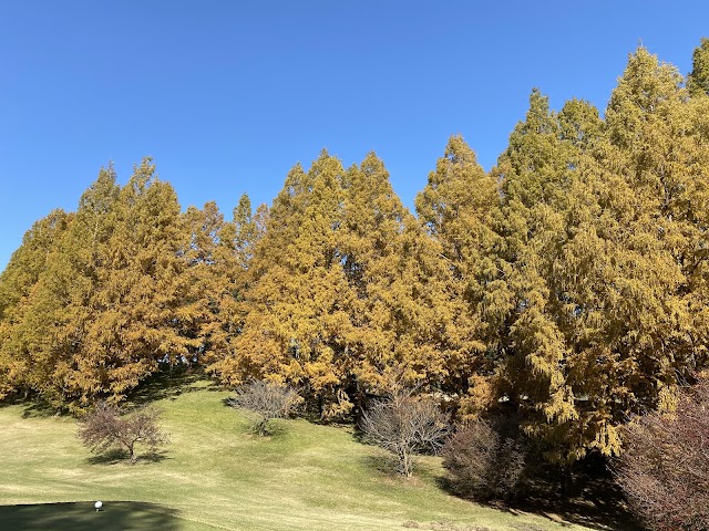 Dazaifu Golf Club - Photo 8