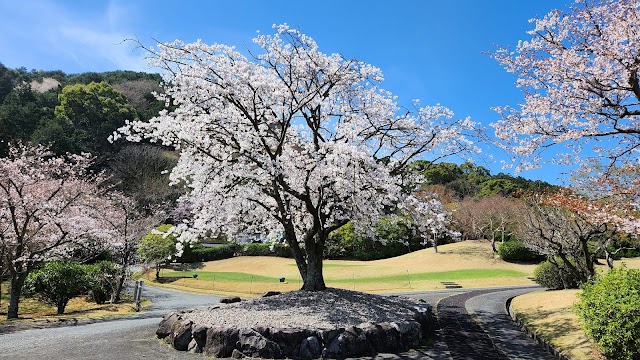 Dazaifu Golf Club - Photo 5