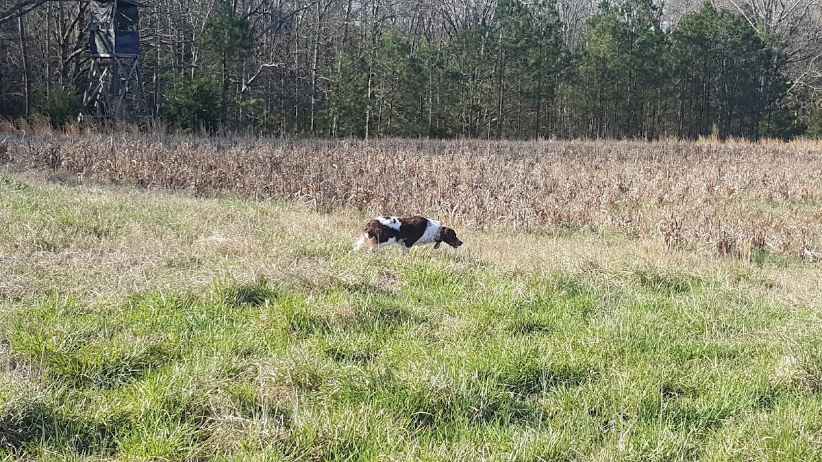 Upland Wings Preserve