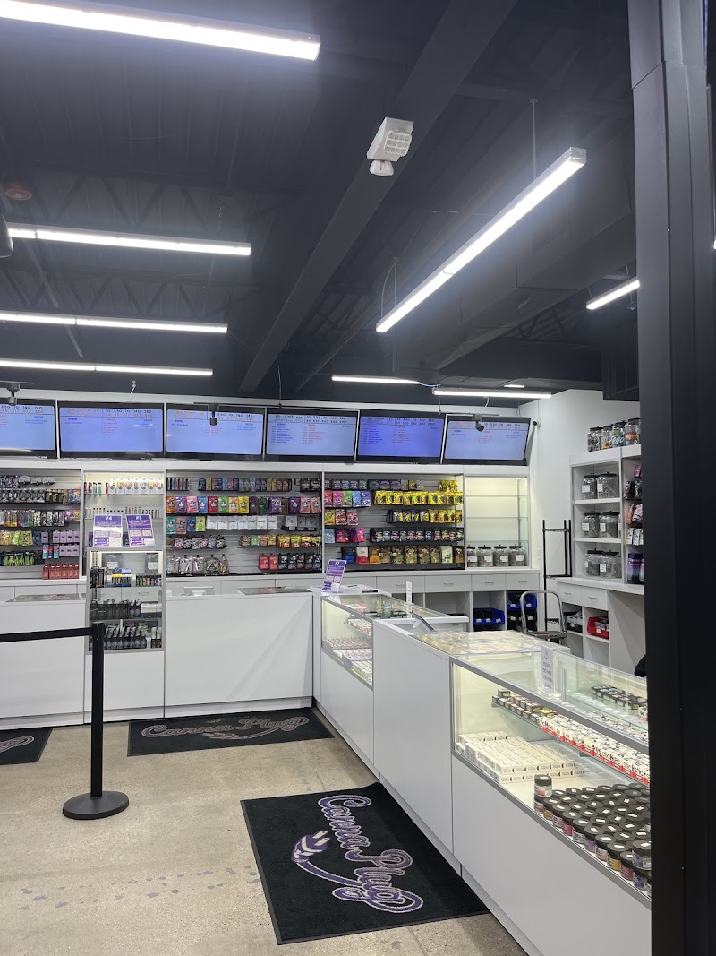 Video tour of Canna Plug retail environment