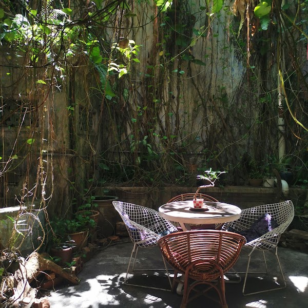 The Baboon House - Photo 1