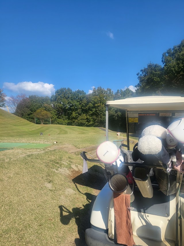 Belflower Golf Park - Photo 10