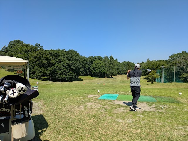Belflower Golf Park - Photo 7