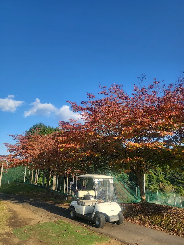 Belflower Golf Park - Photo 6