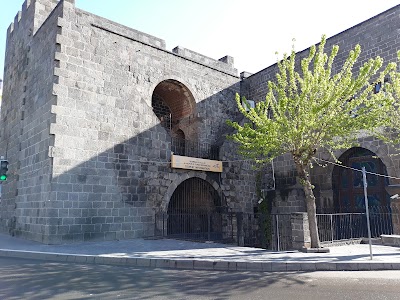 Diyabakır Valiliği İl Kültür ve Turizim Müdürlüğü - Nakliyat - Cungus