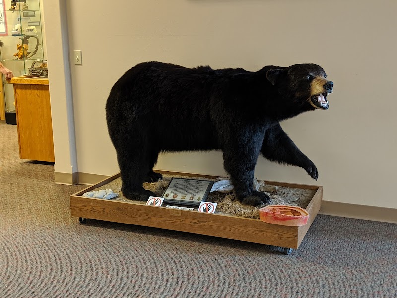 North American Game Warden Museum - Photo 5