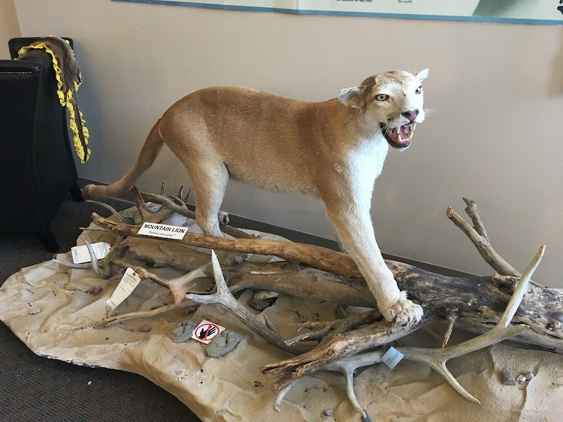 North American Game Warden Museum - Photo 4