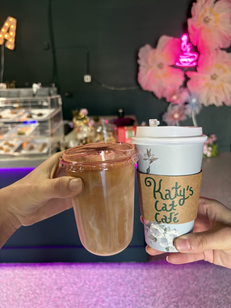Katy's Cat Cafe