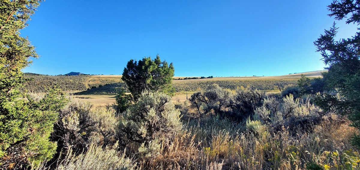 Shelton Ranch Outfitters