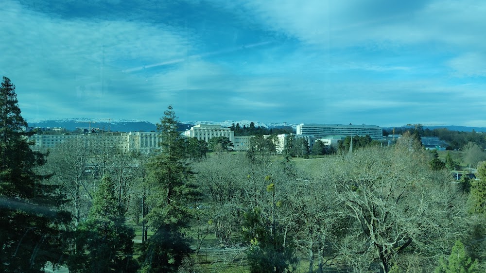 Parc de l'Ariana fotoğraf 1