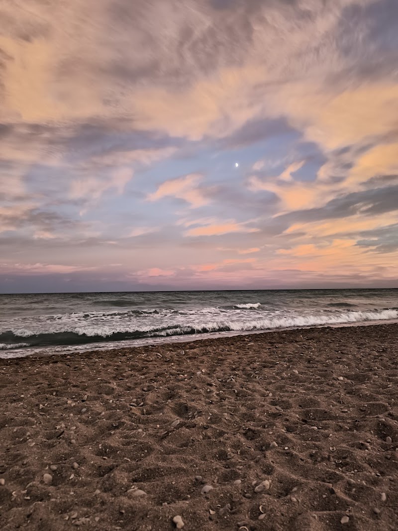 Playa canina El Barranquet