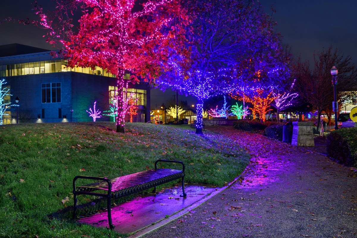Seattle Holiday Lights: Google Places image 4