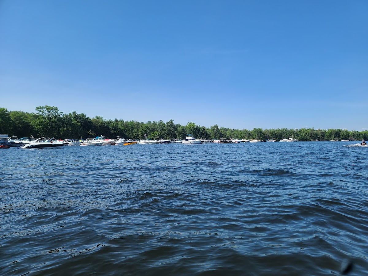 Three Mile Bay Wildlife Management Area