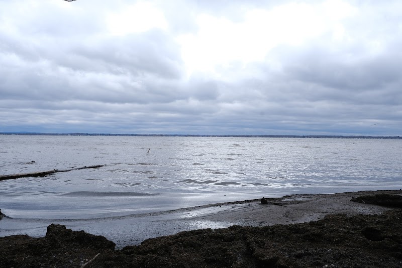 Three Mile Bay Wildlife Management Area - Photo 1