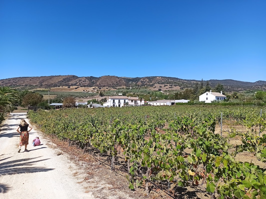 Bodega Garcia Hidalgo