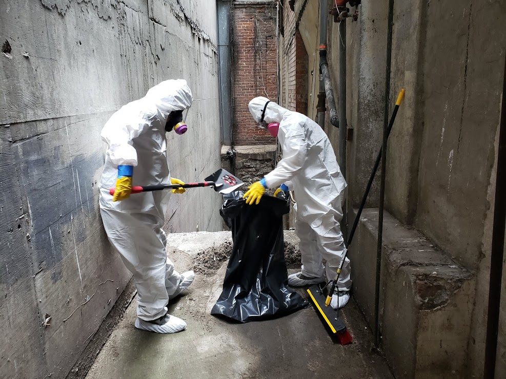 Las Vegas Mold Removal Testing and Inspection — photo
