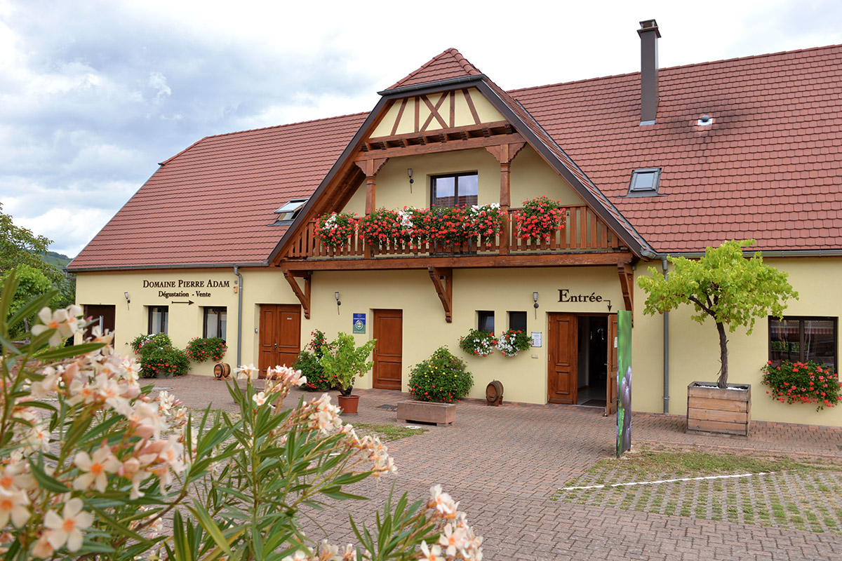 Domaine Pierre Adam | Vins d'Alsace