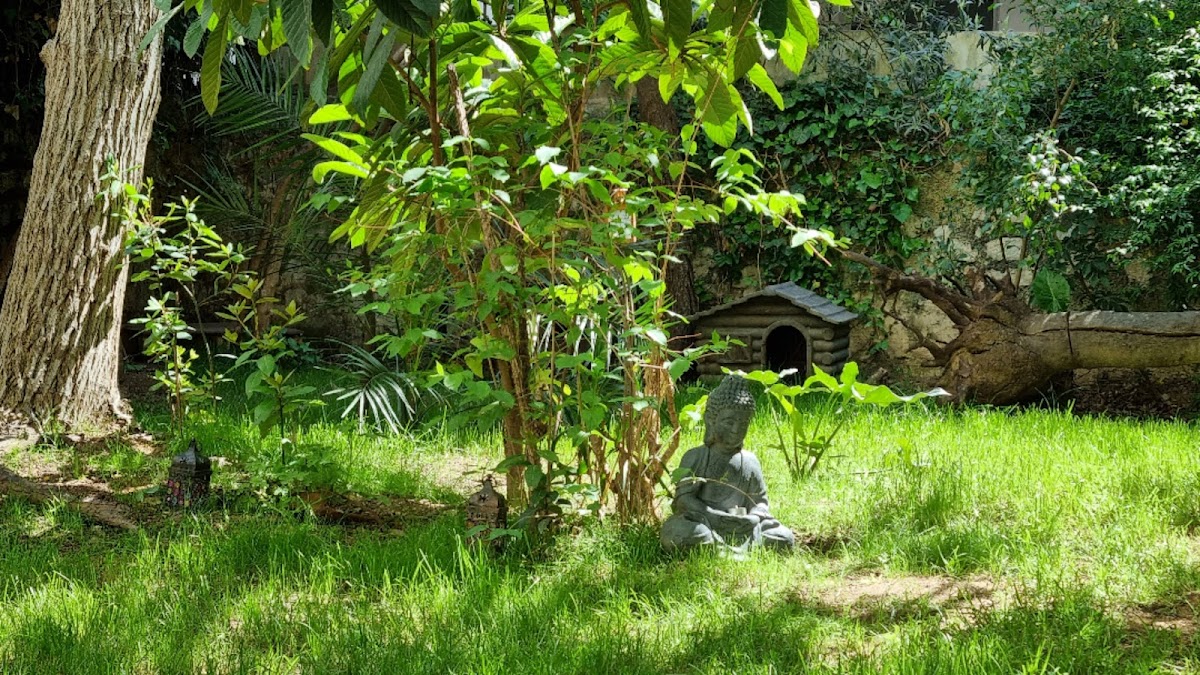 Karma Yoga Traditional School — 3