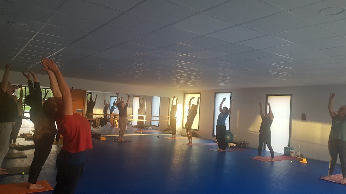 YogiVie — 3