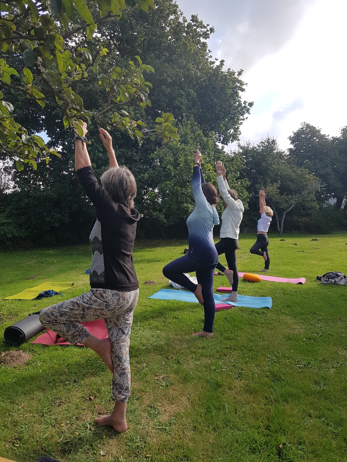 YogiVie — 4