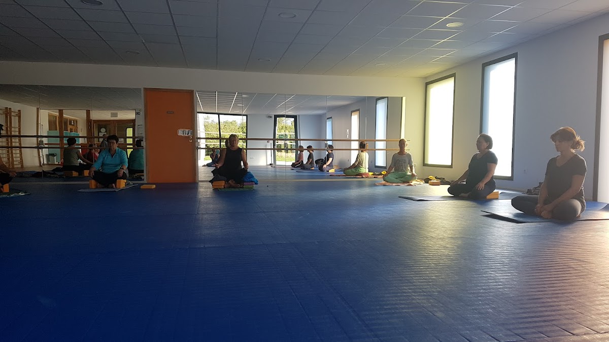 YogiVie