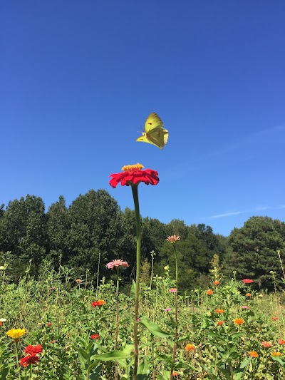 Crabtree Farms of Chattanooga