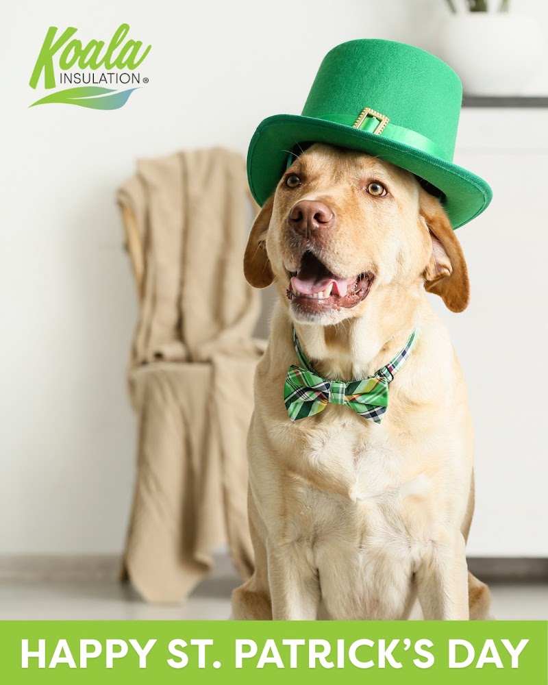 Koala Insulation of North Texas - General Contractor in Frisco