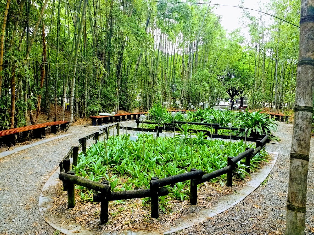 Parque de los Pies Descalzos