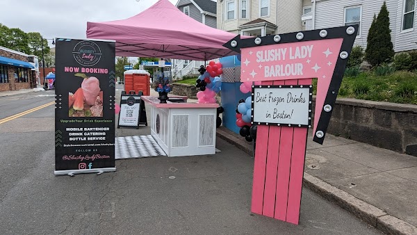 Slushy Lady Italian Ice Mobile Bartending portfolio