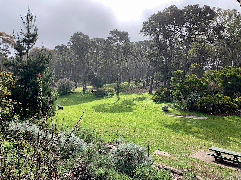 Golden Gate Park Disc Golf Course photo 1