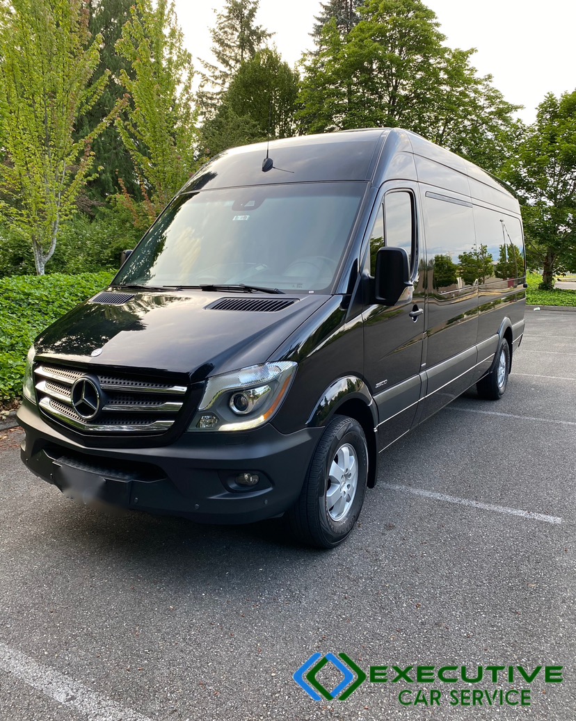 Executive Town Car and Limousine Service: Google Places image 2