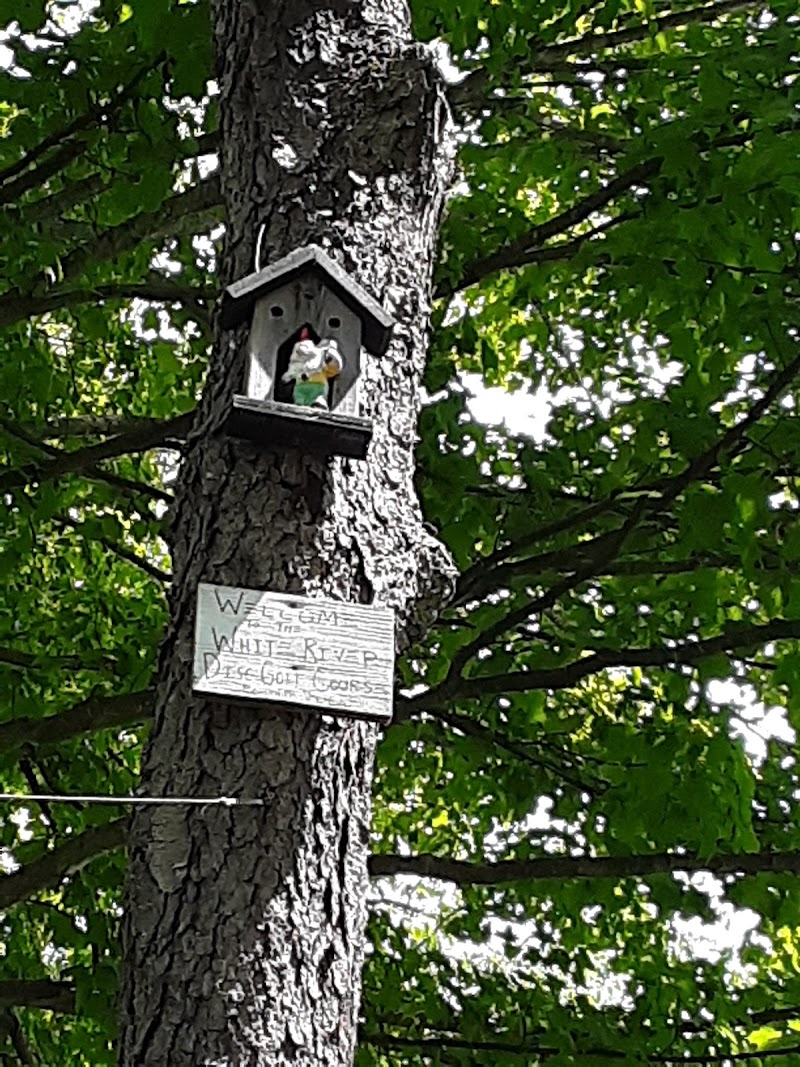 White River Disc Golf Course photo 3