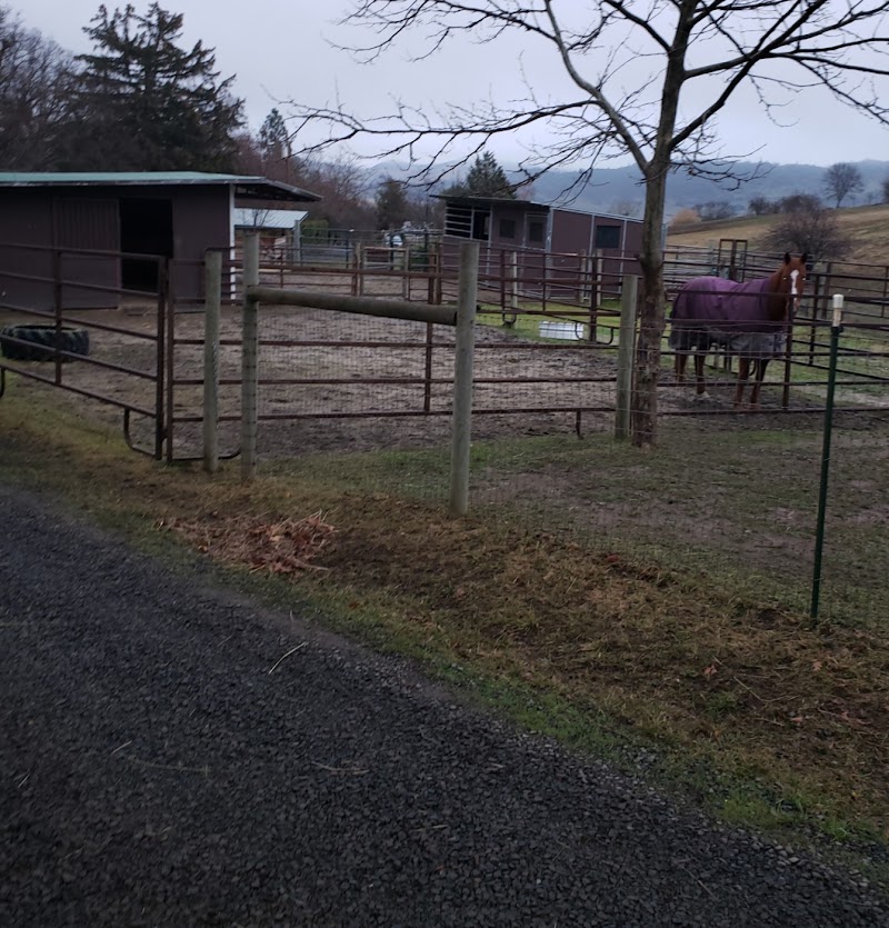Little Creek Ranch Guest Ranch - Photo 5