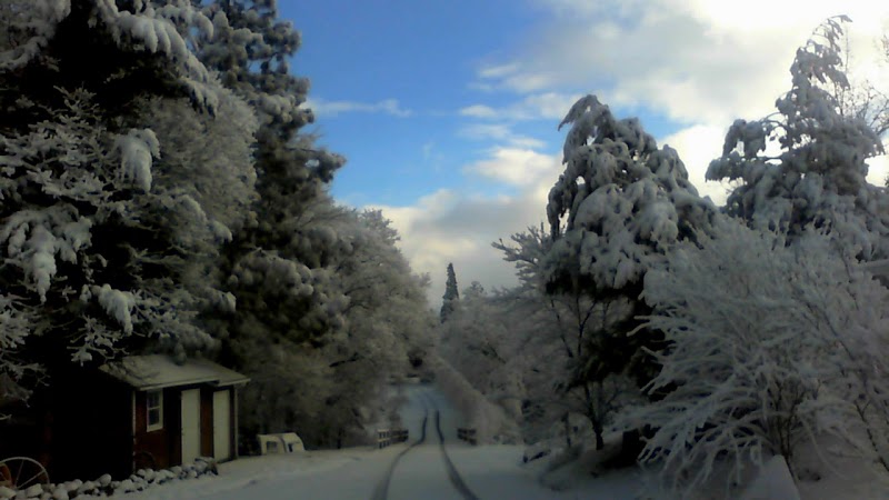Little Creek Ranch Guest Ranch - Photo 4