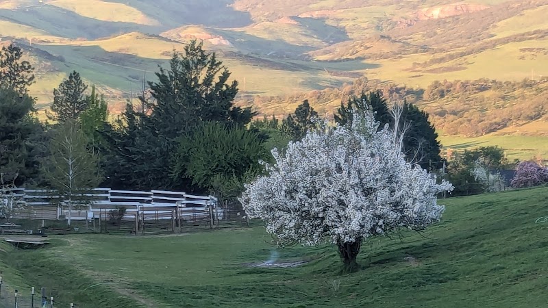 Little Creek Ranch Guest Ranch - Photo 2