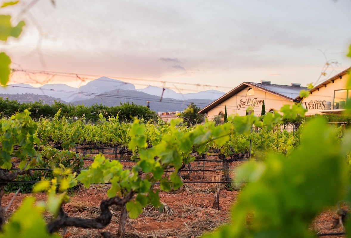 Bodegas José L. Ferrer