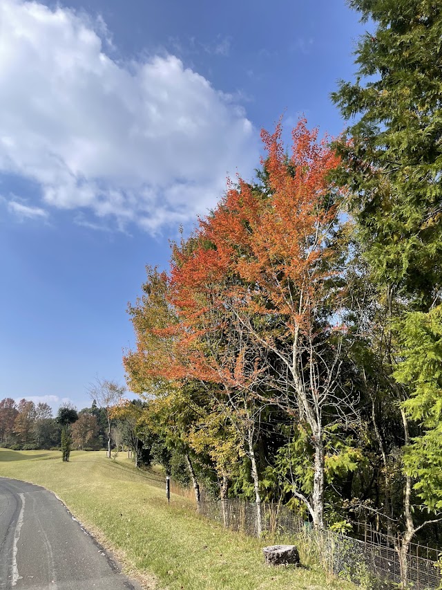 Akizuki Country Club - Photo 9