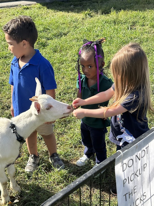 Photo by The Elijah Academy