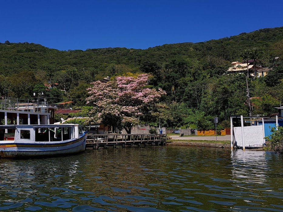 Caminho da Costa da Lagoa ao Canto dos Araçás fotoğraf 1