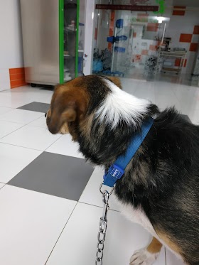 Clínica Veterinaria Don Can