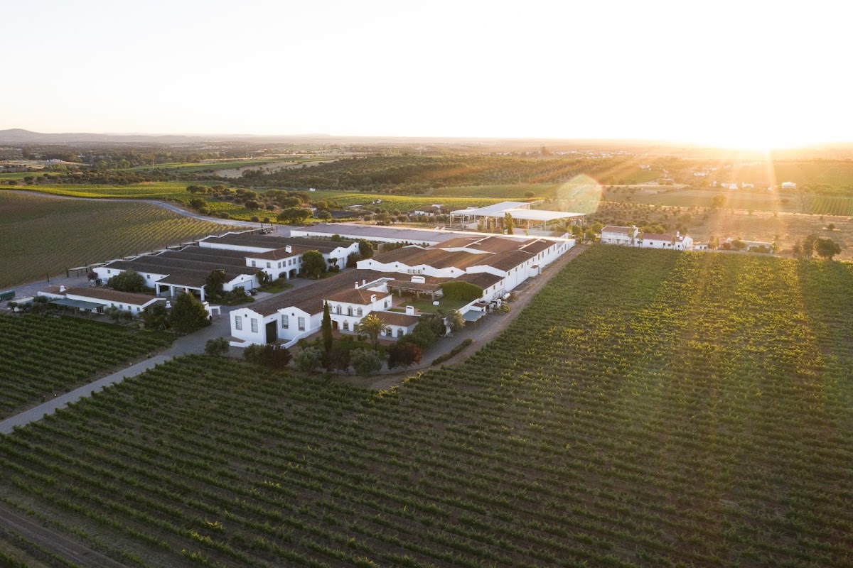 João Portugal Ramos Wines