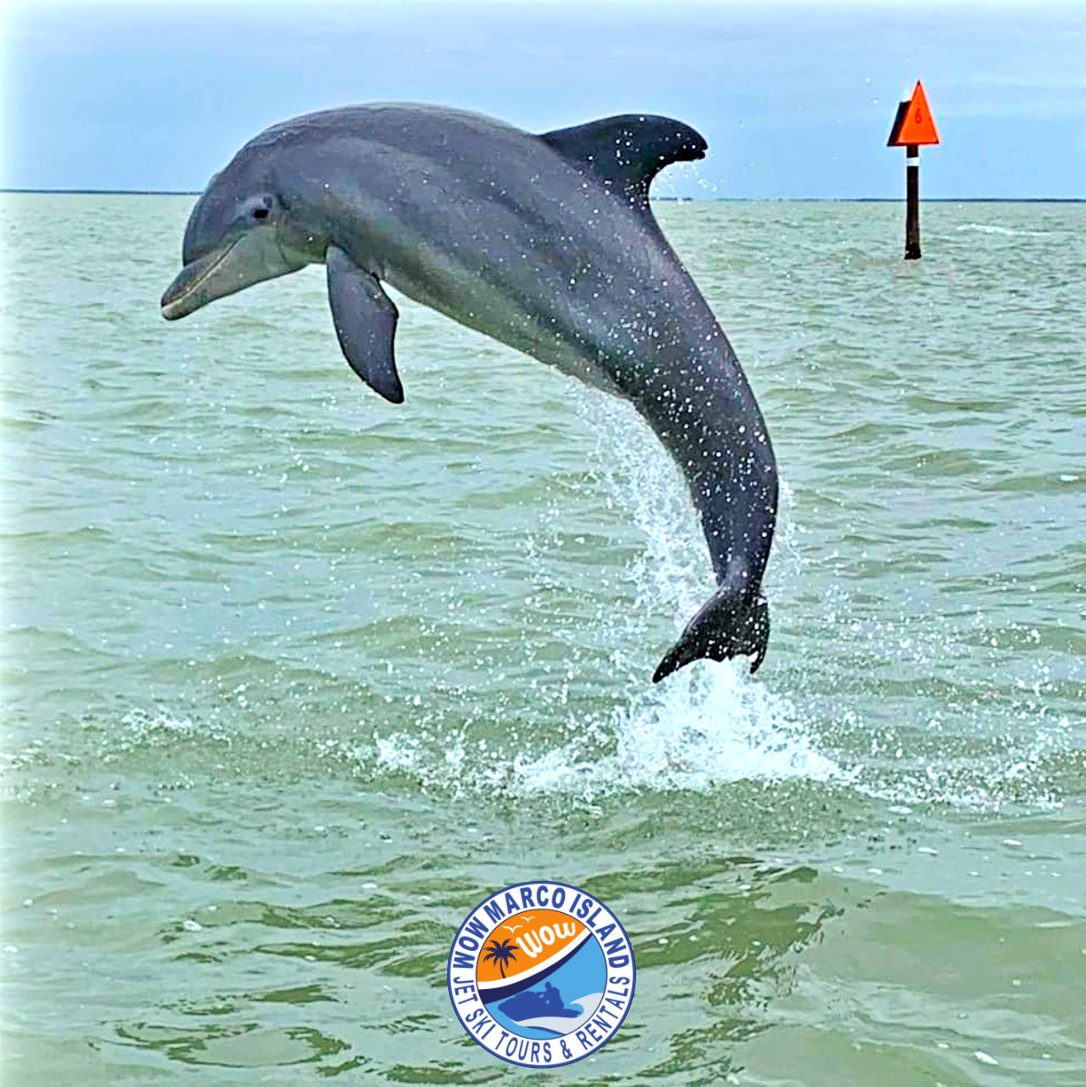 Wow - Marco Island Jet Ski Tours and Rentals
