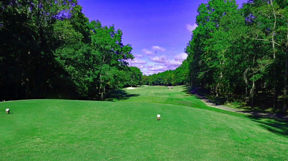 Fall Creek Falls State Park Golf Course