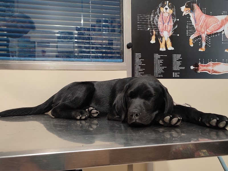 Clínica Veterinaria Los Cantos