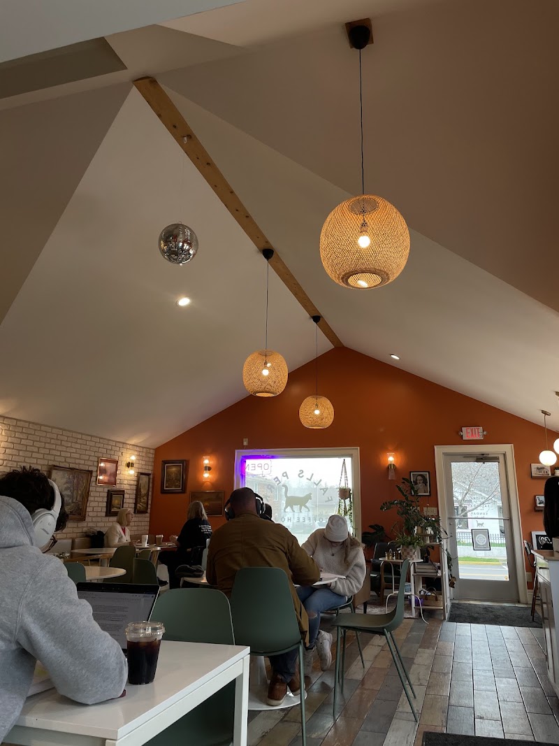 Falls Perk Coffee House photo 4