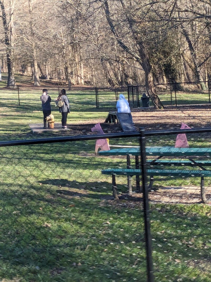 East Frankfort Park Disc Golf Course photo 4