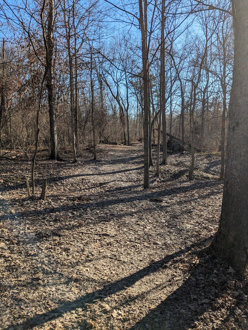 East Frankfort Park Disc Golf Course photo 2