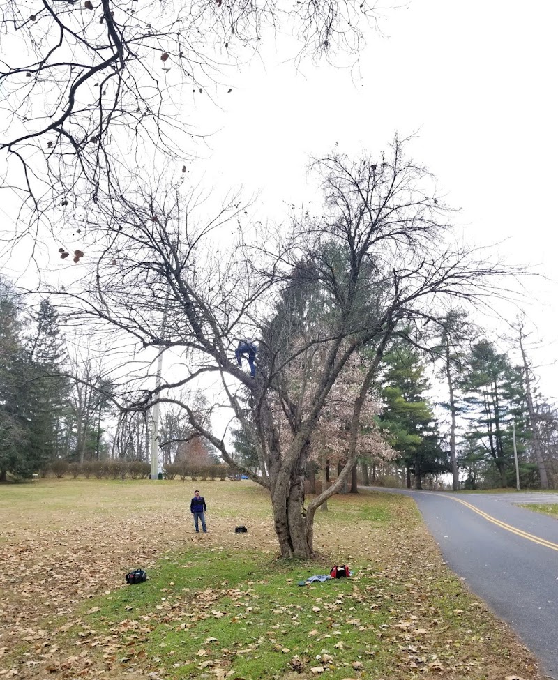 D.F. Buchmiller Park Disc Golf Course photo 2